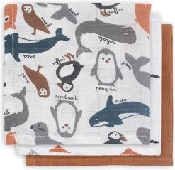 Jollein Baby Hydrofiel Washandje Polar - 3 Stuks -Jollein Babyparadijs 1200x1161