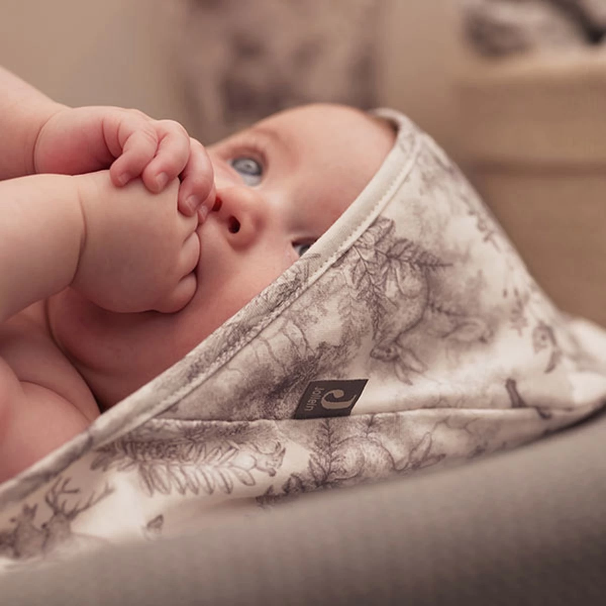 Jollein Badcape 75x75cm Pimpelmees - Forest Animals 9 Jollein Badcape 75x75cm Pimpelmees - Forest Animals - Afbeelding 9