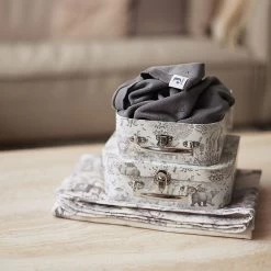 Jollein Hydrofiele Doek 70x70cm Pimpelmees Forest Animals - 2 Stuks -Jollein Babyparadijs 1200x1200 28