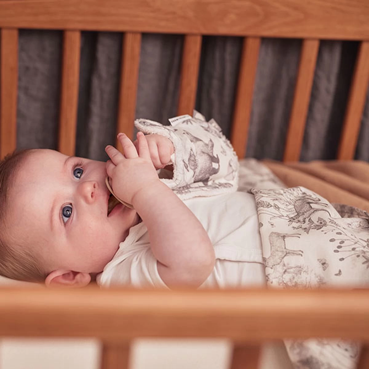 Jollein Baby Dekbedovertrek Met Sloop 100x135/140cm Pimpelmees - Forest Animals 9 Jollein Baby Dekbedovertrek Met Sloop 100x135/140cm Pimpelmees - Forest Animals - Afbeelding 9