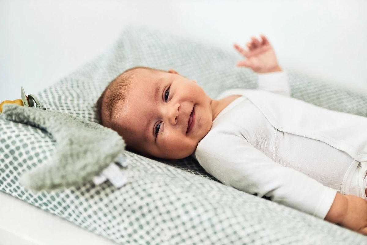 Jollein Aankleedkussenhoes Snake Jersey 50x70cm - Ash Green 3 Jollein Aankleedkussenhoes Snake Jersey 50x70cm - Ash Green - Afbeelding 3