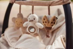 Jollein Wagenspanner - Spring Garden -Jollein Babyparadijs 1200x800 943