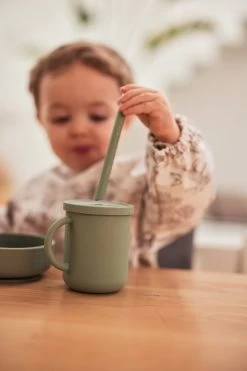 Jollein Slab Waterproof Met Mouw Pimpelmees - Forest Animals -Jollein Babyparadijs 800x1200 92